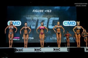 FIGURE +163
